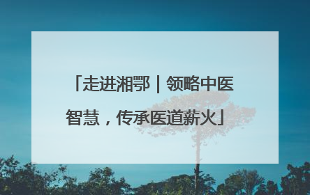 走进湘鄂｜领略中医智慧，传承医道薪火