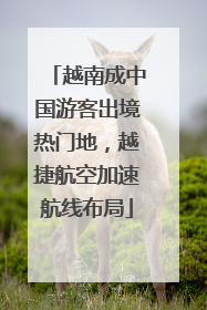 越南成中国游客出境热门地，越捷航空加速航线布局