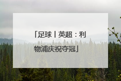 足球丨英超：利物浦庆祝夺冠