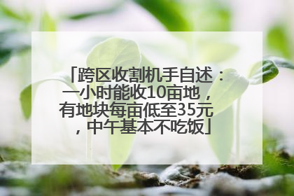 跨区收割机手自述：一小时能收10亩地，有地块每亩低至35元，中午基本不吃饭