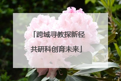跨域寻教探新径 共研科创育未来