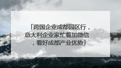 跨国企业成都园区行，意大利企业家忙着加微信，看好成都产业优势