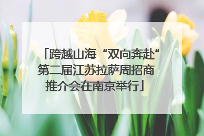 跨越山海“双向奔赴” 第二届江苏拉萨周招商推介会在南京举行