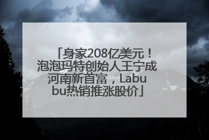 身家208亿美元！泡泡玛特创始人王宁成河南新首富，Labubu热销推涨股价