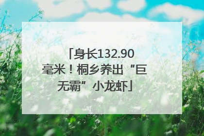 身长132.90毫米！桐乡养出“巨无霸”小龙虾