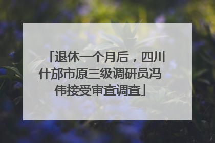 退休一个月后，四川什邡市原三级调研员冯伟接受审查调查