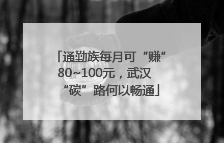 通勤族每月可“赚”80~100元，武汉“碳”路何以畅通