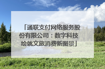 通联支付网络服务股份有限公司：数字科技绘就文旅消费新图景