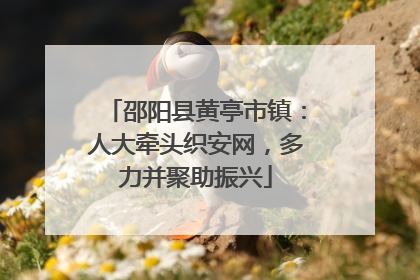 邵阳县黄亭市镇：人大牵头织安网，多力并聚助振兴