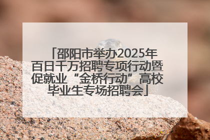 邵阳市举办2025年百日千万招聘专项行动暨促就业“金桥行动”高校毕业生专场招聘会