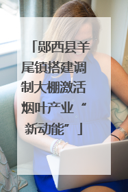 郧西县羊尾镇搭建调制大棚激活烟叶产业“新动能”