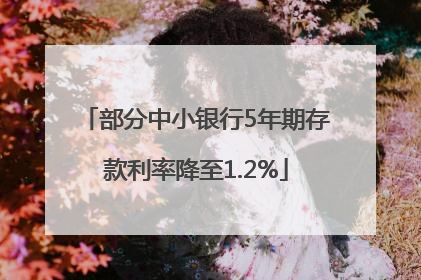部分中小银行5年期存款利率降至1.2%