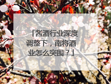酱酒行业深度调整下，南将酒业怎么突围？