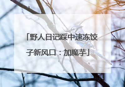 野人日记踩中速冻饺子新风口：加魔芋