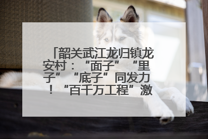 韶关武江龙归镇龙安村：“面子”“里子”“底子”同发力！“百千万工程”激活乡村新动能