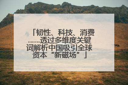 韧性、科技、消费……透过多维度关键词解析中国吸引全球资本“新磁场”