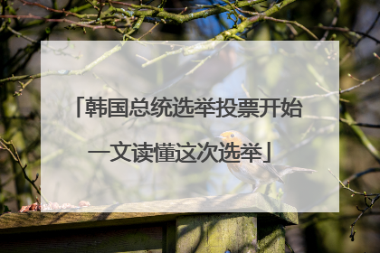 韩国总统选举投票开始 一文读懂这次选举