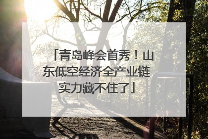 青岛峰会首秀！山东低空经济全产业链实力藏不住了