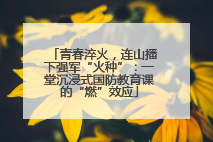 青春淬火，连山播下强军“火种”：一堂沉浸式国防教育课的“燃”效应