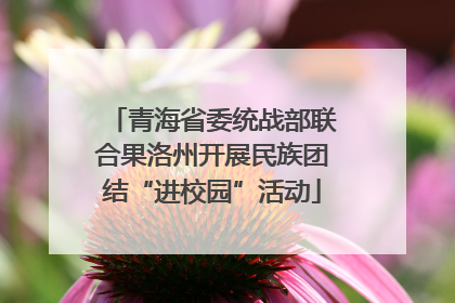青海省委统战部联合果洛州开展民族团结“进校园”活动