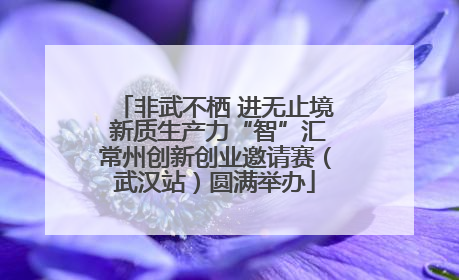 非武不栖 进无止境 新质生产力“智”汇常州创新创业邀请赛（武汉站）圆满举办