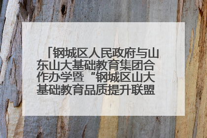 钢城区人民政府与山东山大基础教育集团合作办学暨“钢城区山大基础教育品质提升联盟”签约揭牌活动举行