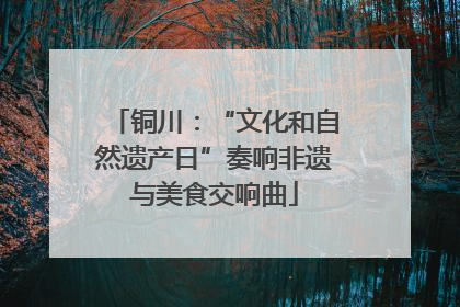 铜川：“文化和自然遗产日”奏响非遗与美食交响曲