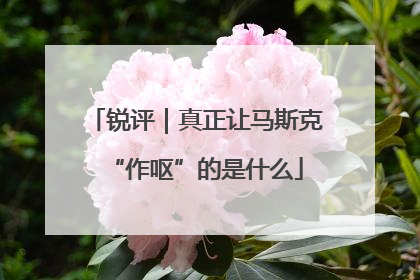 锐评｜真正让马斯克“作呕”的是什么