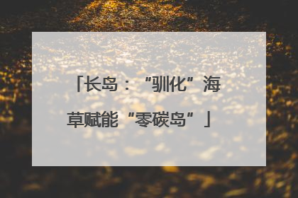 长岛：“驯化”海草赋能“零碳岛”