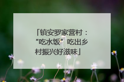 镇安罗家营村：“吃水饭”吃出乡村振兴好滋味
