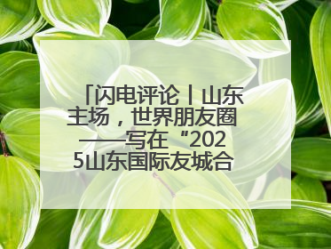 闪电评论丨山东主场，世界朋友圈——写在“2025山东国际友城合作交流周”之际