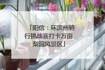 阳信：环滨州骑行挑战赛打卡万亩梨园风景区