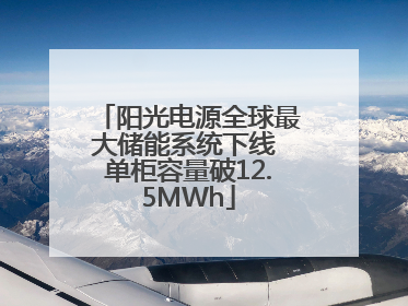 阳光电源全球最大储能系统下线 单柜容量破12.5MWh