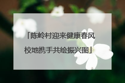 陈岭村迎来健康春风 校地携手共绘振兴图
