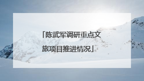 陈武军调研重点文旅项目推进情况