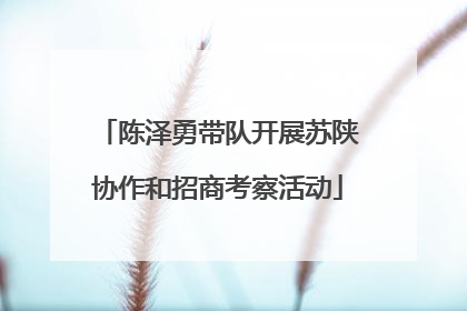 陈泽勇带队开展苏陕协作和招商考察活动