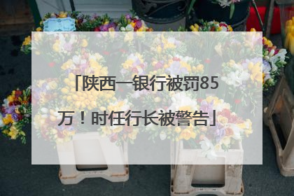 陕西一银行被罚85万！时任行长被警告