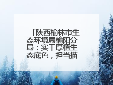 陕西榆林市生态环境局榆阳分局：实干厚植生态底色，担当描绘绿色答卷