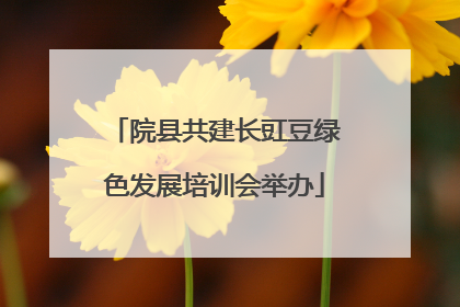 院县共建长豇豆绿色发展培训会举办
