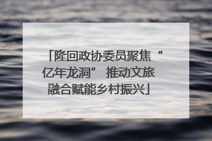 隆回政协委员聚焦“亿年龙洞” 推动文旅融合赋能乡村振兴