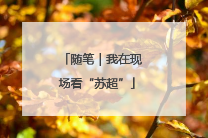 随笔｜我在现场看“苏超”