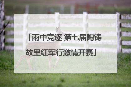 雨中竞逐 第七届陶铸故里红军行激情开赛