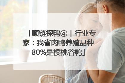 顺链探鸭④｜行业专家：我省肉鸭养殖品种80%是樱桃谷鸭