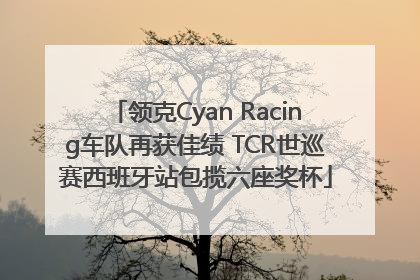 领克Cyan Racing车队再获佳绩 TCR世巡赛西班牙站包揽六座奖杯