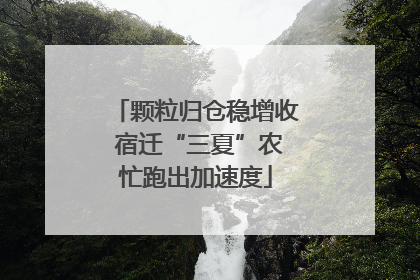 颗粒归仓稳增收 宿迁“三夏”农忙跑出加速度