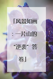 风景如画：一片山的“逆袭”答卷