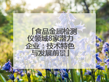 食品金属检测仪领域8家潜力企业：技术特色与发展前景