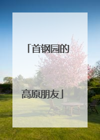 首钢园的高原朋友