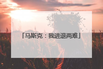 马斯克：我进退两难