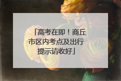 高考在即！商丘市区内考点及出行提示请收好
